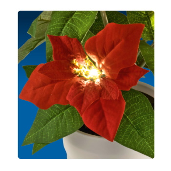 Ukrasno cveće božićna zvezda sa LED diodama SCF5